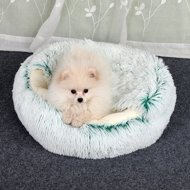 Cat Bed (2 in 1)