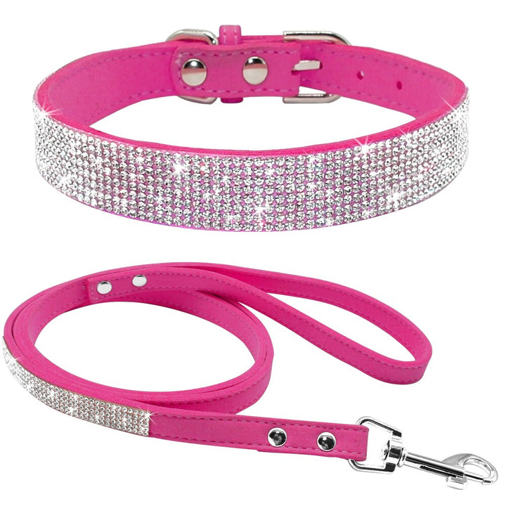 Dog Collar Leash Set