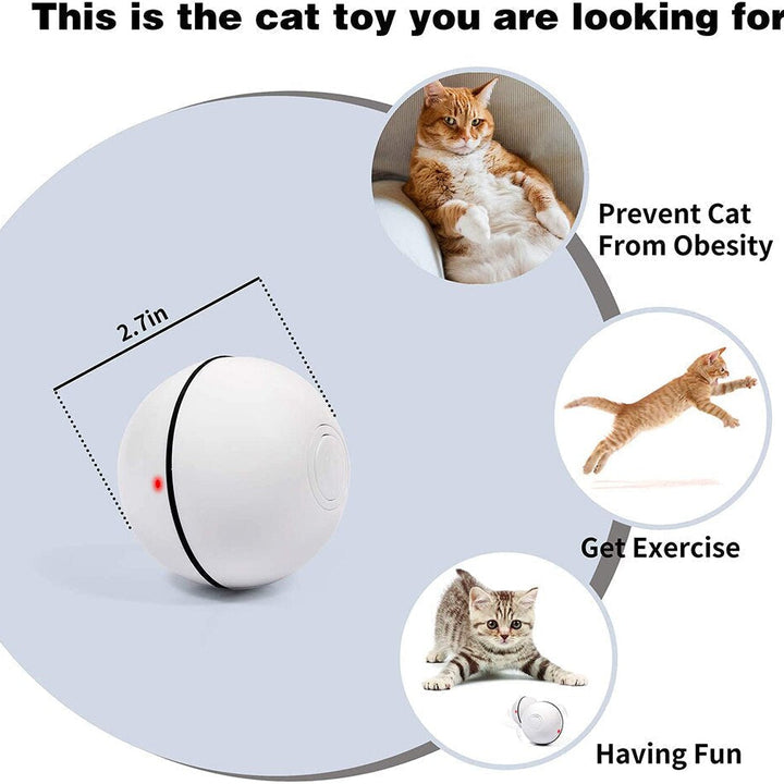 Smart Interactive Cat Ball