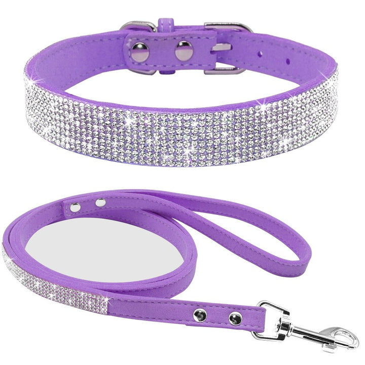 Dog Collar Leash Set