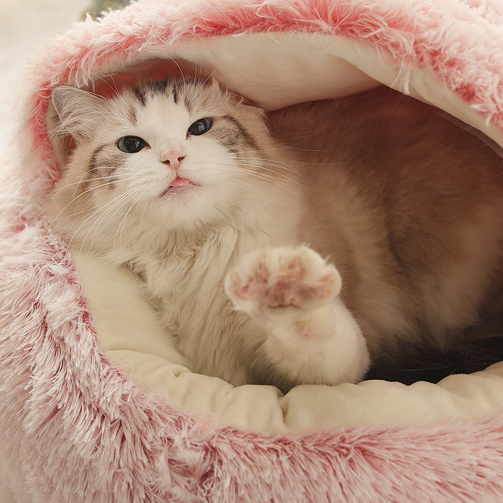 Cat Bed (2 in 1)