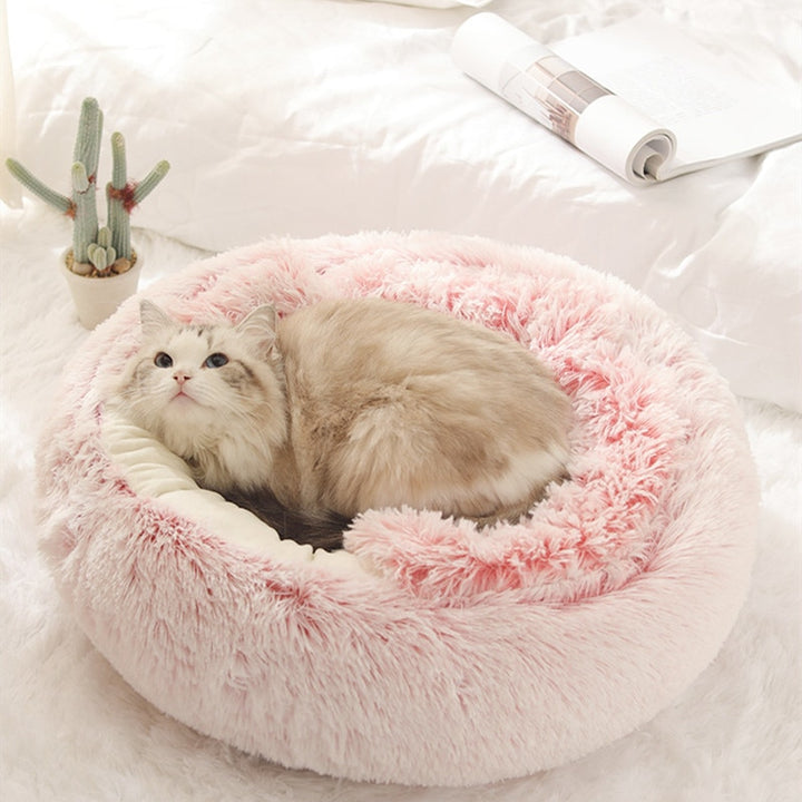 Cat Bed (2 in 1)