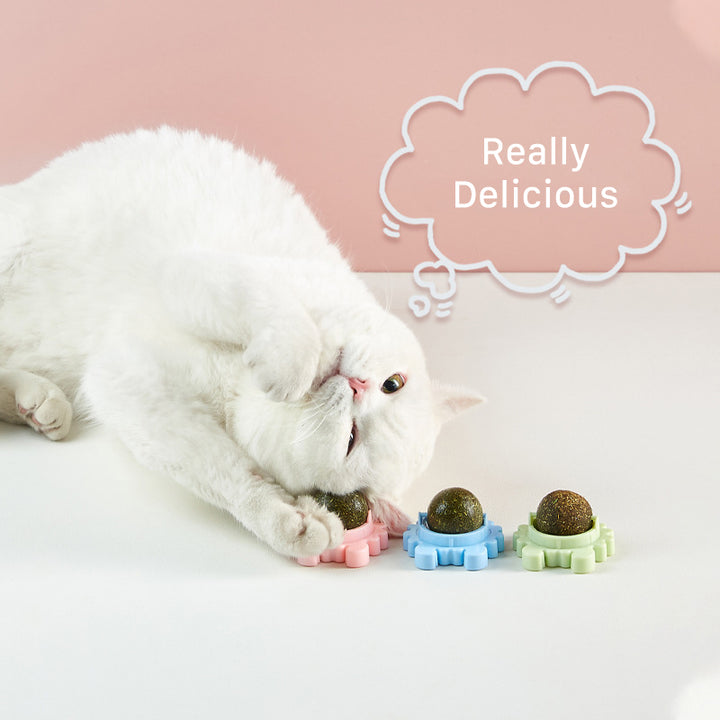 Catnip toys for cats
