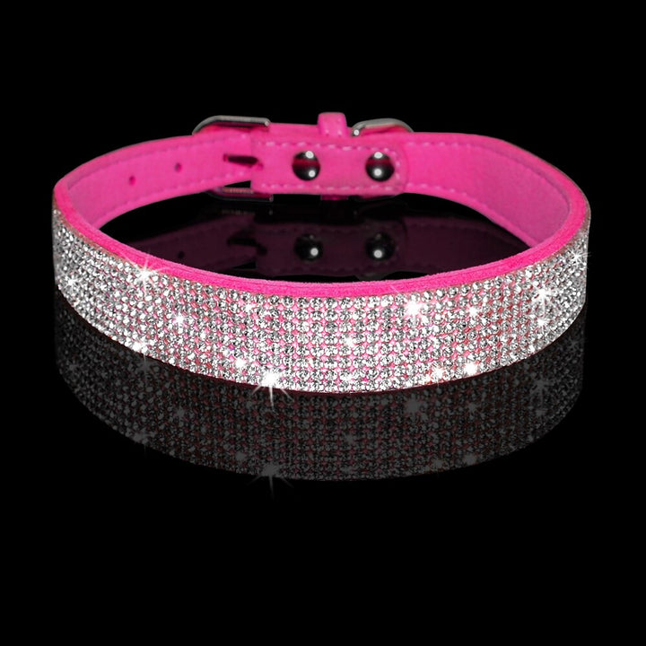 Dog Collar Leash Set