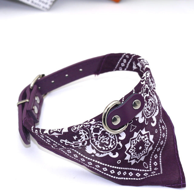 Small Pet Bandana Collar
