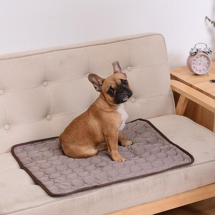 Dog Breathable Sofa Blanket