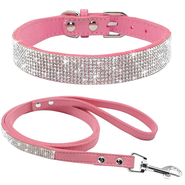 Dog Collar Leash Set