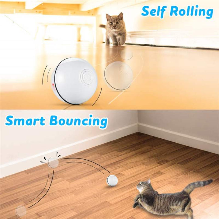 Smart Interactive Cat Ball