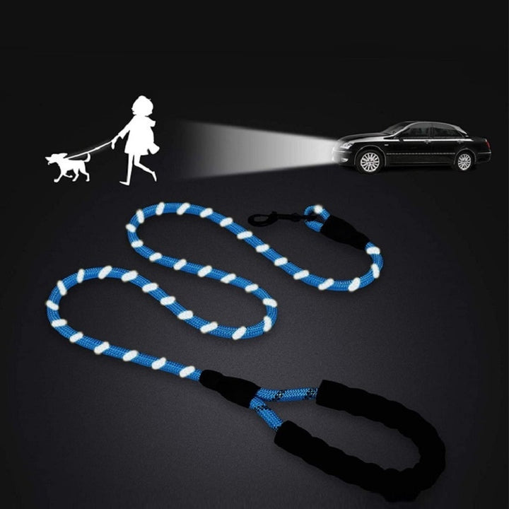 Reflecting Dog Leash