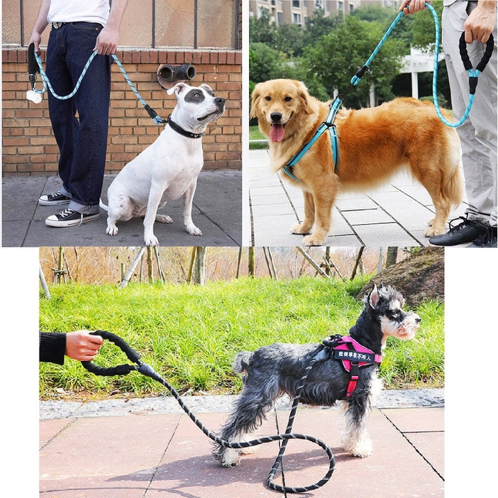 Reflecting Dog Leash