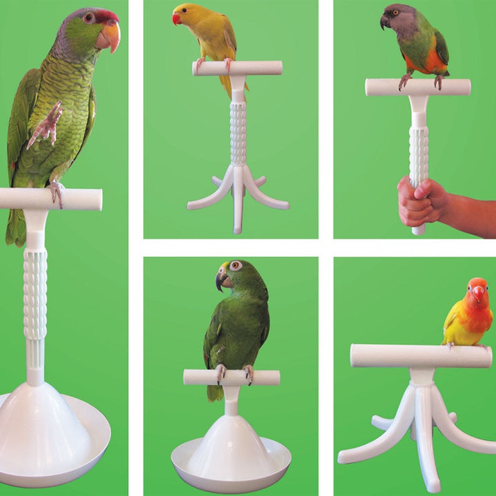 CAITEC Parrot Stand Bird Toys Portable Perch and Training Tool