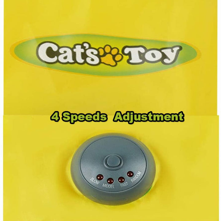 4 Speed Electric Motion Smart Toy