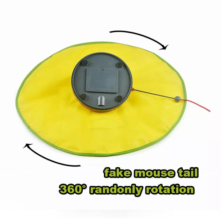 4 Speed Electric Motion Smart Toy