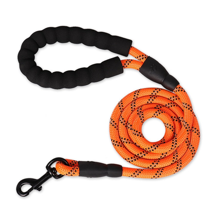 Reflecting Dog Leash