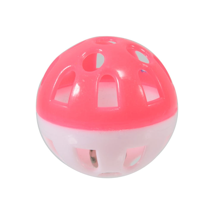 10pcs Pet Parrot Ball Toy