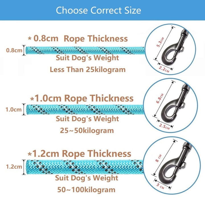 Reflecting Dog Leash