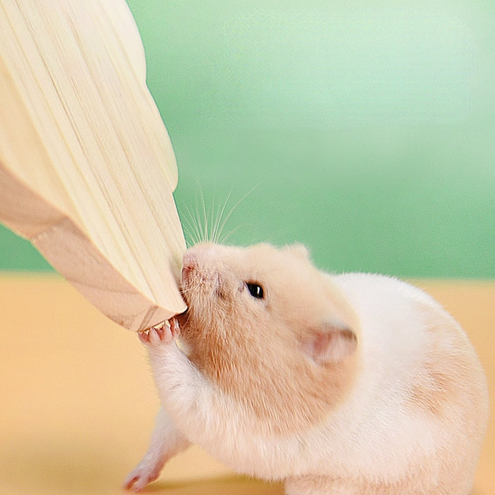 Hamster Cage Small Animal