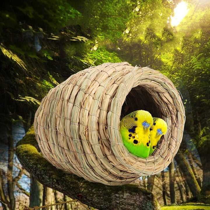 1PC Bird Nest