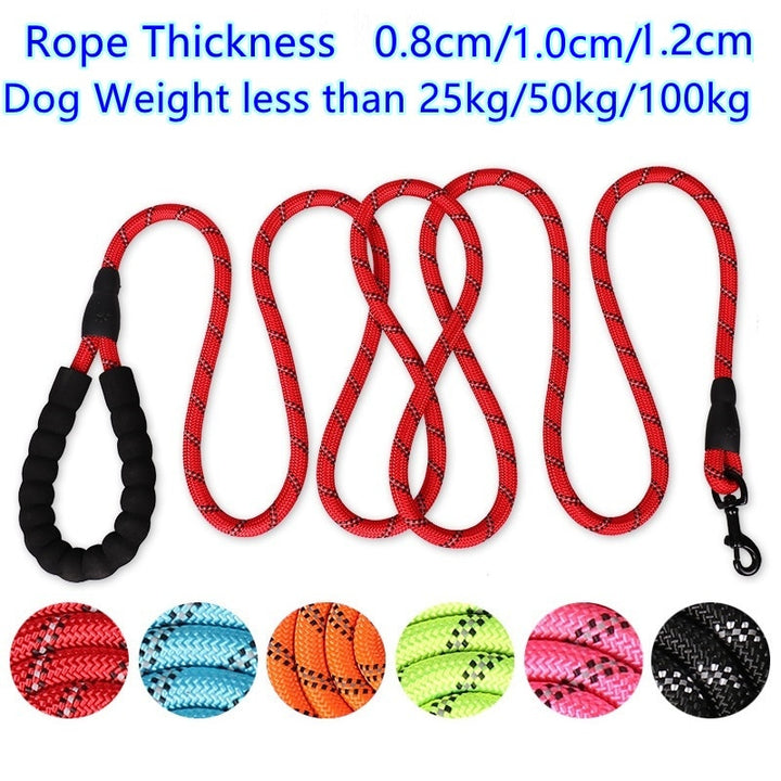 Reflecting Dog Leash