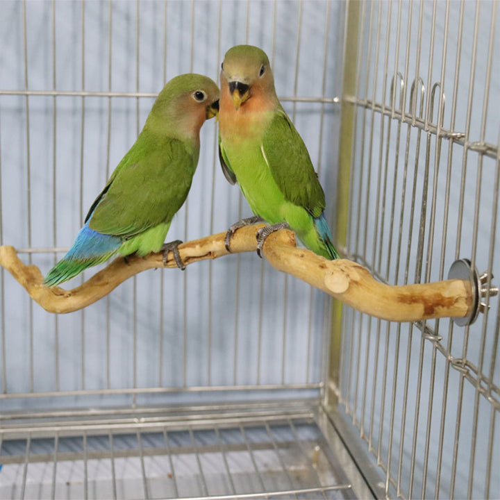 Natural Parrot Perch Bird Stand Tree Stick