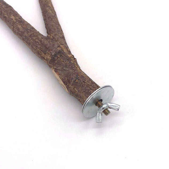 Natural Pet Parrot Raw Wood Fork