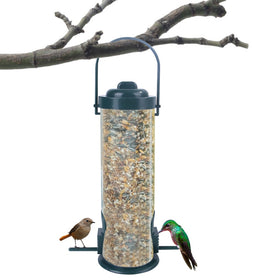 Bird Feeder