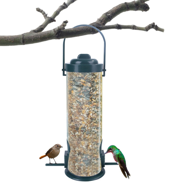 Bird Feeder