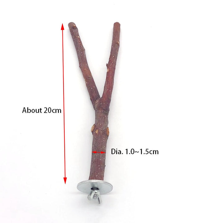 Natural Pet Parrot Raw Wood Fork