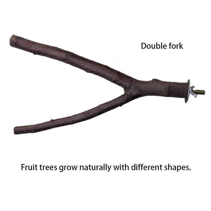 Natural Pet Parrot Raw Wood Fork