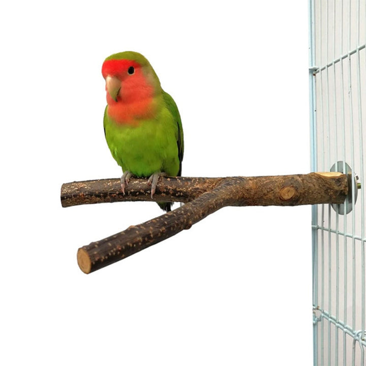 Natural Pet Parrot Raw Wood Fork