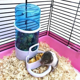 Hamster Automatic Feeder