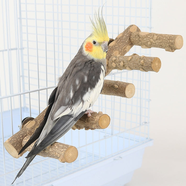 Wood Perch Bird Stand