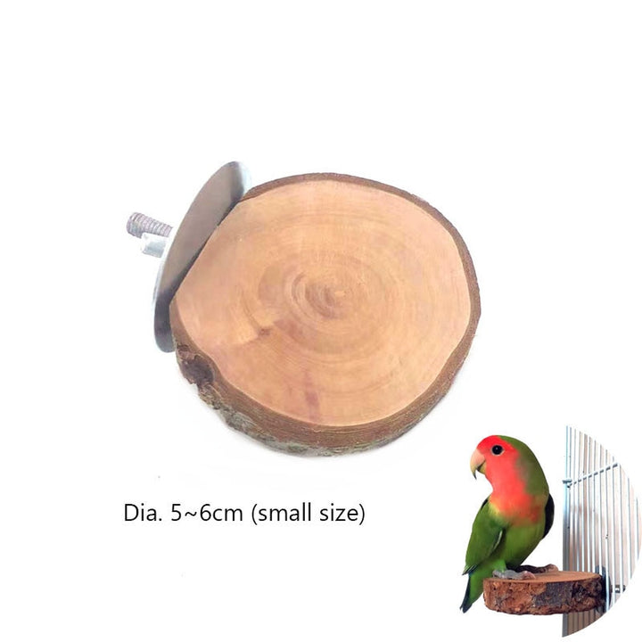 Natural Pet Parrot Raw Wood Fork