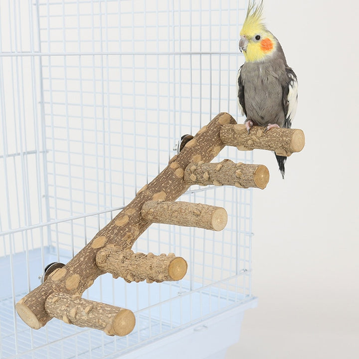 Wood Perch Bird Stand
