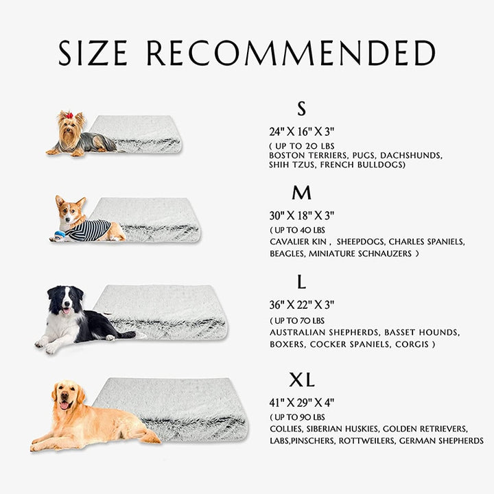 Plush Dog Bed