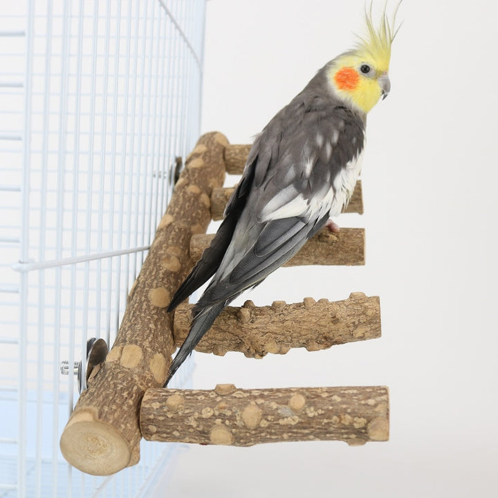 Wood Perch Bird Stand
