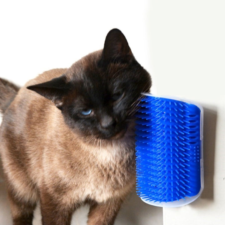 Massage and Comb Cat Corner