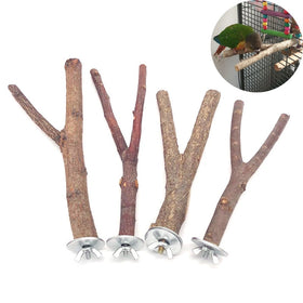 Natural Pet Parrot Raw Wood Fork