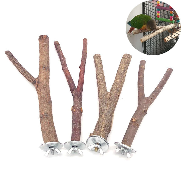 Natural Pet Parrot Raw Wood Fork