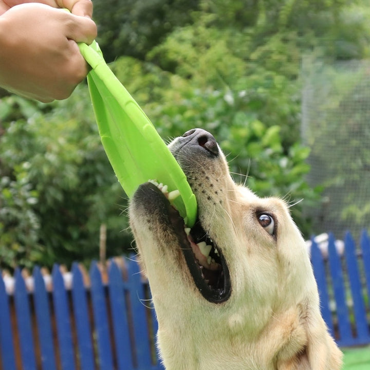 Fashion Dog Flying Discs Toy.