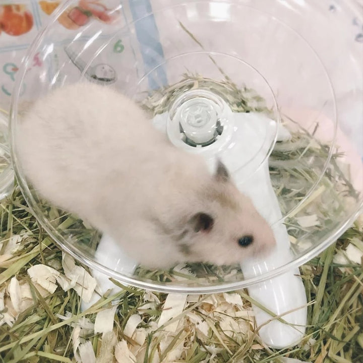 Pet Hamster Running Disc