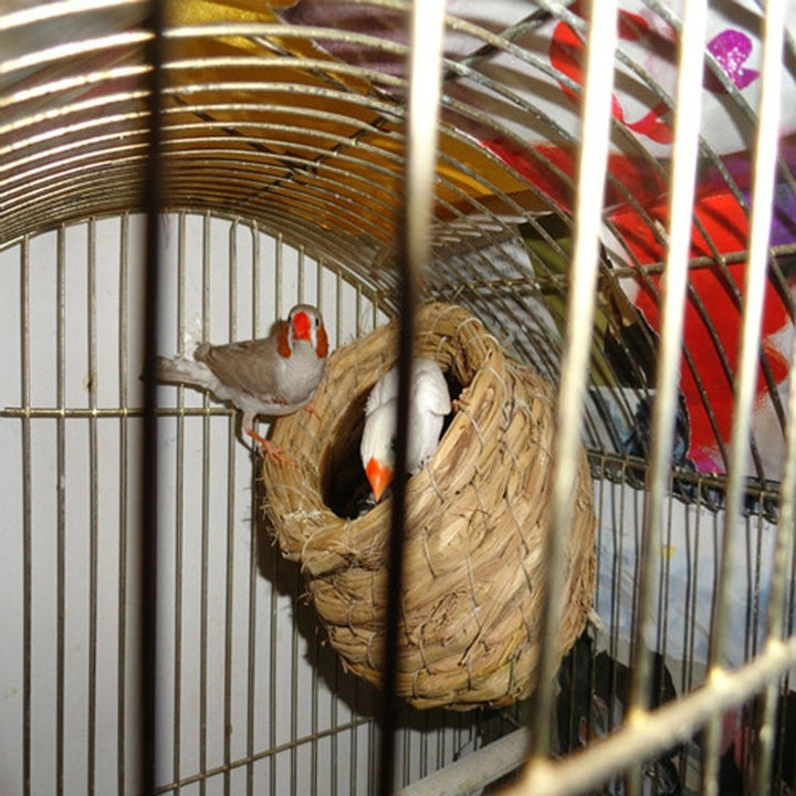 1PC Bird Nest