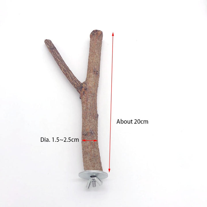 Natural Pet Parrot Raw Wood Fork