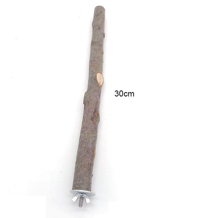 Natural Pet Parrot Raw Wood Fork
