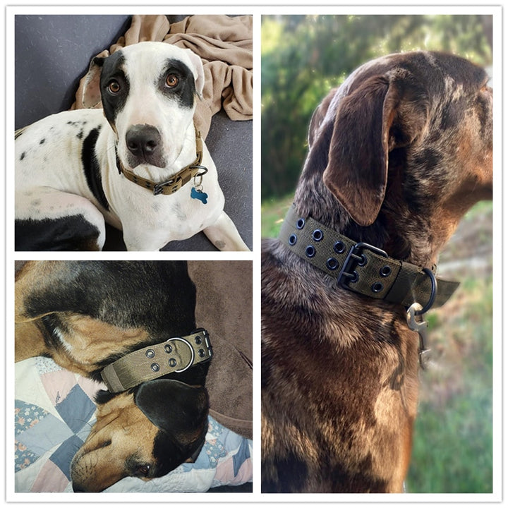 Tactical Dog Collar Adjustable For Leash Use