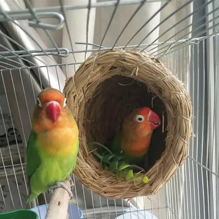 1PC Bird Nest