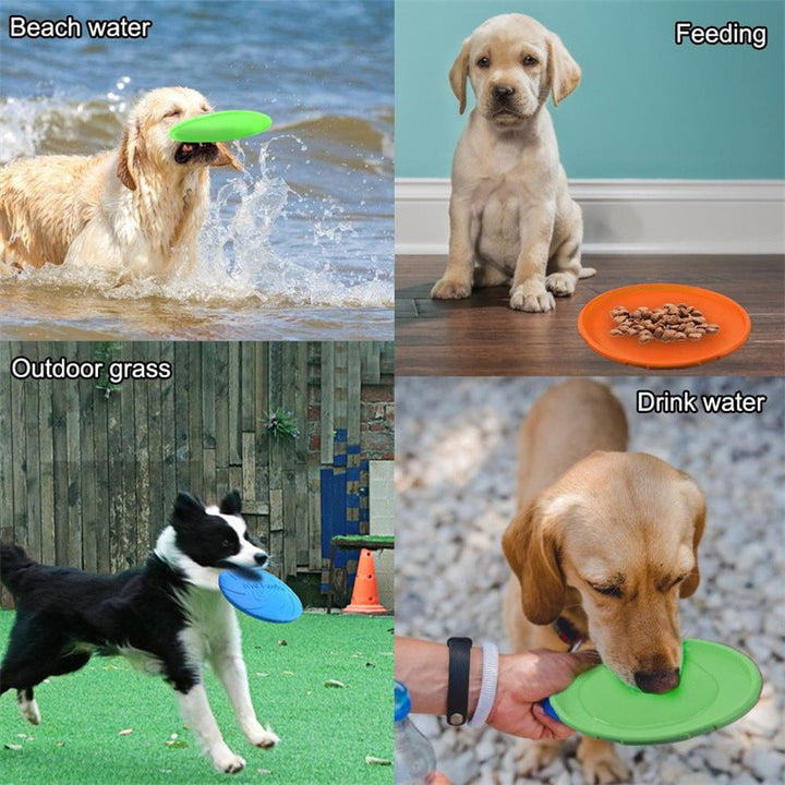 Fashion Dog Flying Discs Toy.