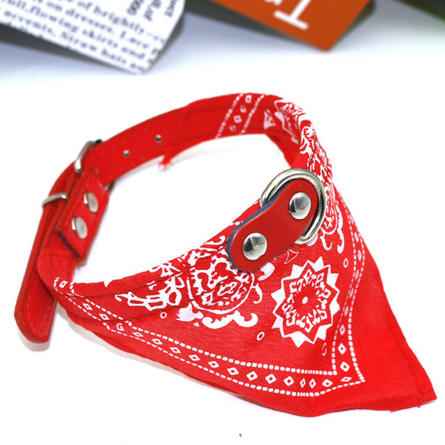 Small Pet Bandana Collar