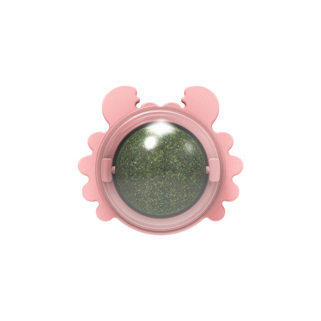 Catnip toys for cats